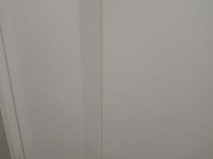 Куколка в очках терпит домашний жесткий анальный секс с партнером