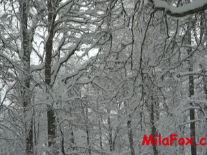 Спортсменка делает отменный минет в зимнем лесу