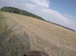 Румынская парочка шпилится посреди скошенного поля