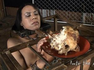 Девица в клетке подвергается пыткам и жестоким унижениям