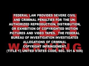 Мускулистые негры трахают во все дырки симпатичных белых шлюх