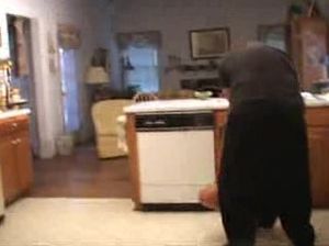 Негр напал на белую телочку, грубо выебал ее в пизду и кончил внутрь