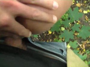 Немецкая шлюшка быстро соснула и дала раком парню в городском парке