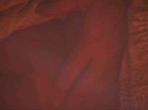 Нежный секс красивой блондинки и крепкого кобеля в старинном стиле