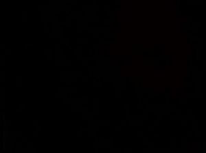 Парень делает любительскую съемку глубокого минета и ебет подругу раком