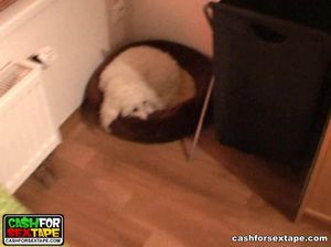 Классная блондинка с большими сиськами трахается на камеру с парнем