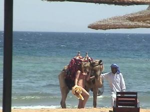 Горячий чешский парень поставил раком и трахнул подругу в отеле Египта