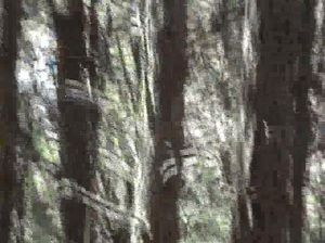 Парочка вышла на пикник в горы и мужик отменно выебал сучку на берегу реки