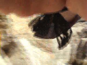 Парочка вышла на пикник в горы и мужик отменно выебал сучку на берегу реки