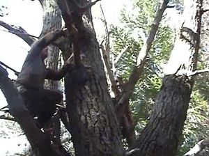 Парочка вышла на пикник в горы и мужик отменно выебал сучку на берегу реки