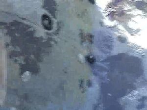 Парочка вышла на пикник в горы и мужик отменно выебал сучку на берегу реки