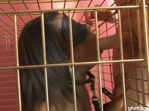 Чернокожую сучку в наручниках посадили в клетку и трахнули в глотку и анал