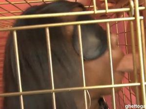 Чернокожую сучку в наручниках посадили в клетку и трахнули в глотку и анал